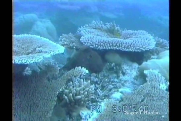 Кракен вход krakens13 at