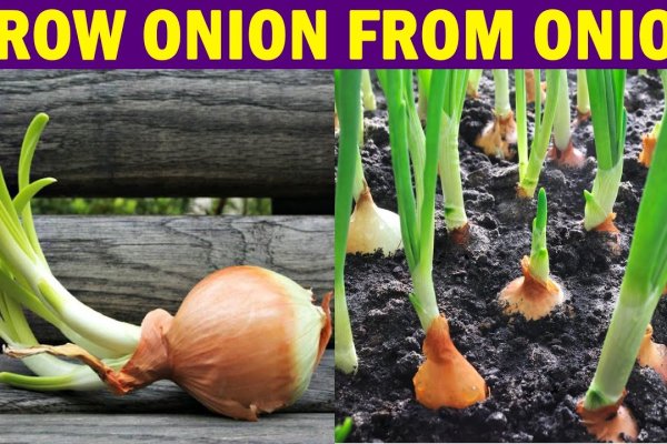 Kraken onion сайта