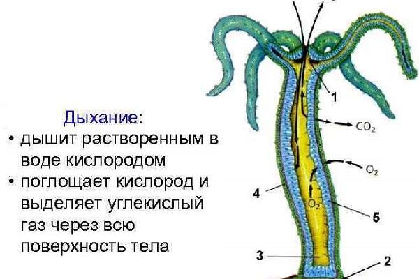 Kraken официальная ссылка tor