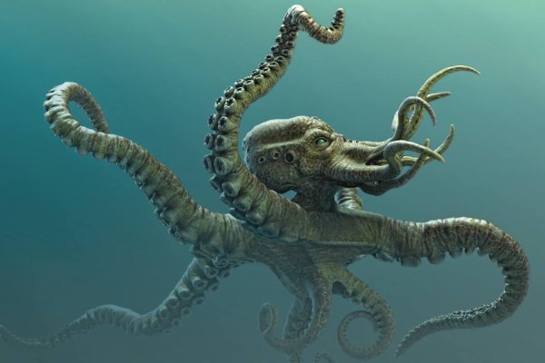 2kr pro kraken