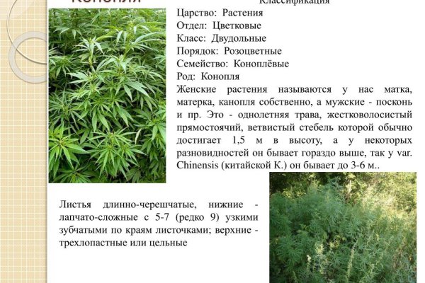 Маркетплейс кракен kraken darknet top