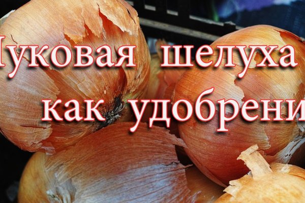 Кракен актуальная ссылка kraken torion net