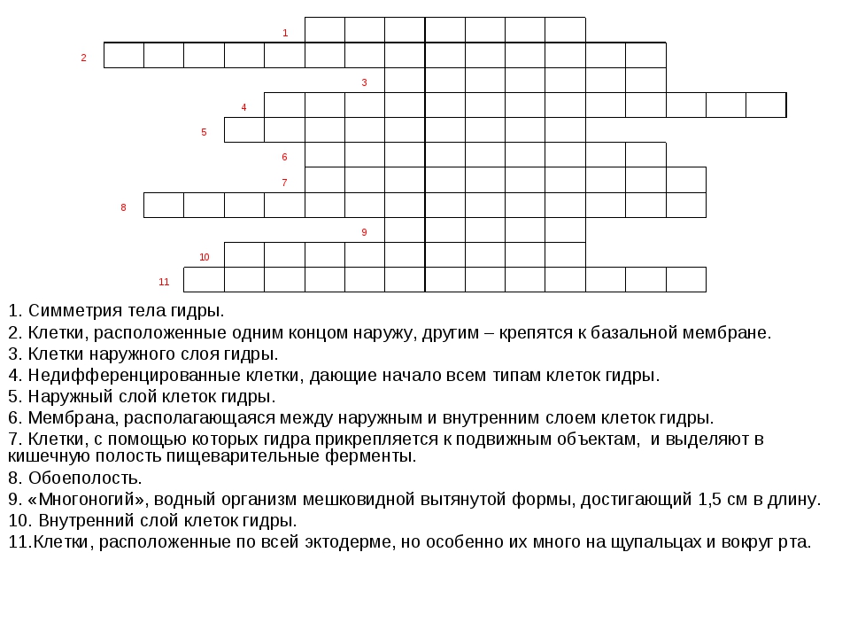 Кракен шоп что это